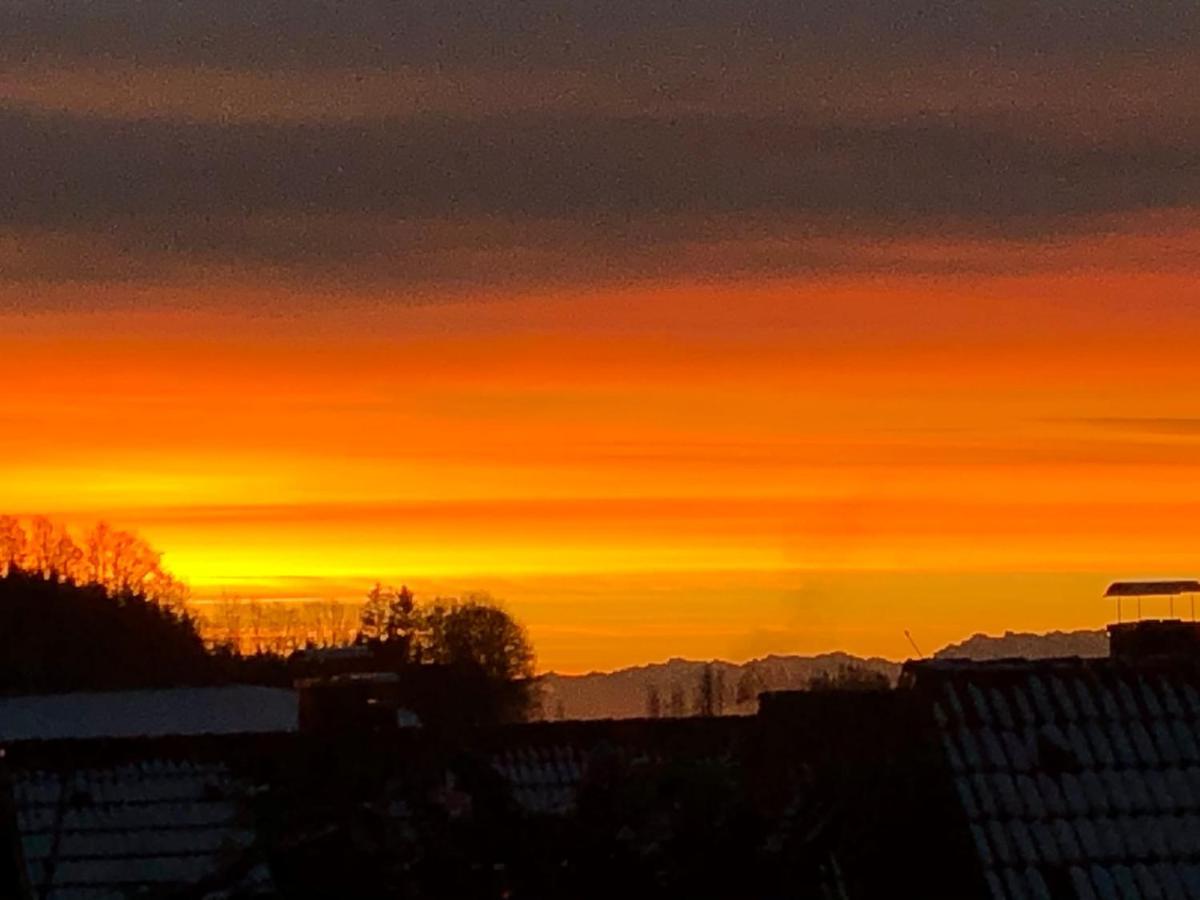 Haus Nicole Lägenhet Herrischried Exteriör bild
