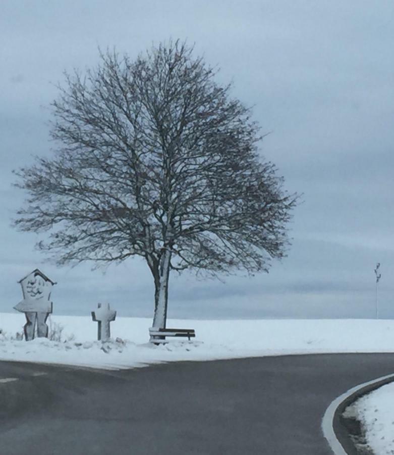 Haus Nicole Lägenhet Herrischried Exteriör bild